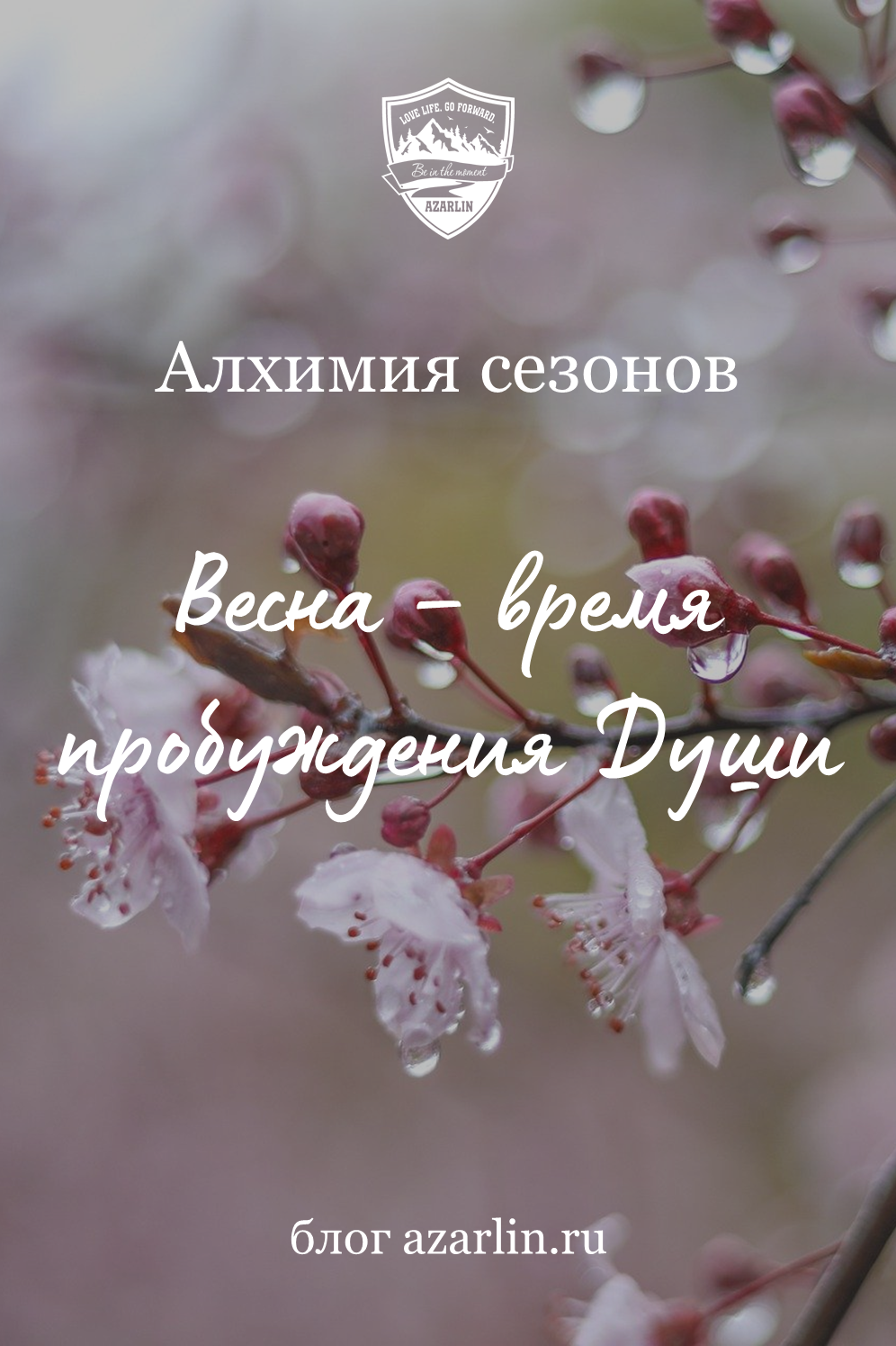 Сезон Весны - блог Ирины Азарлин